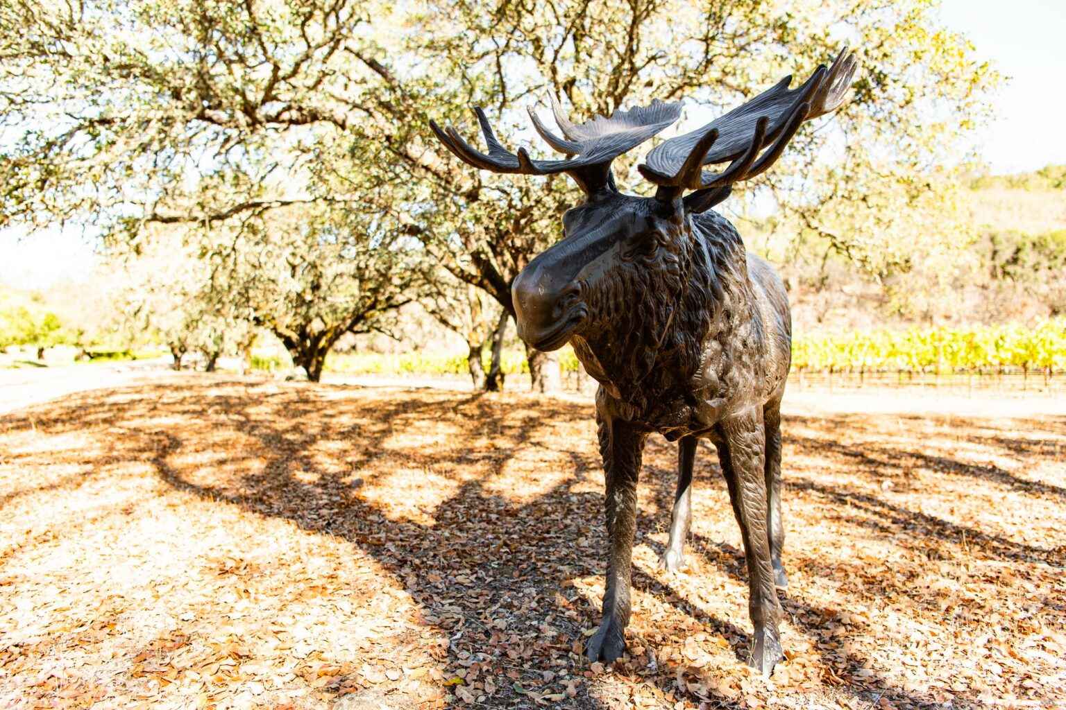 moose sculpture