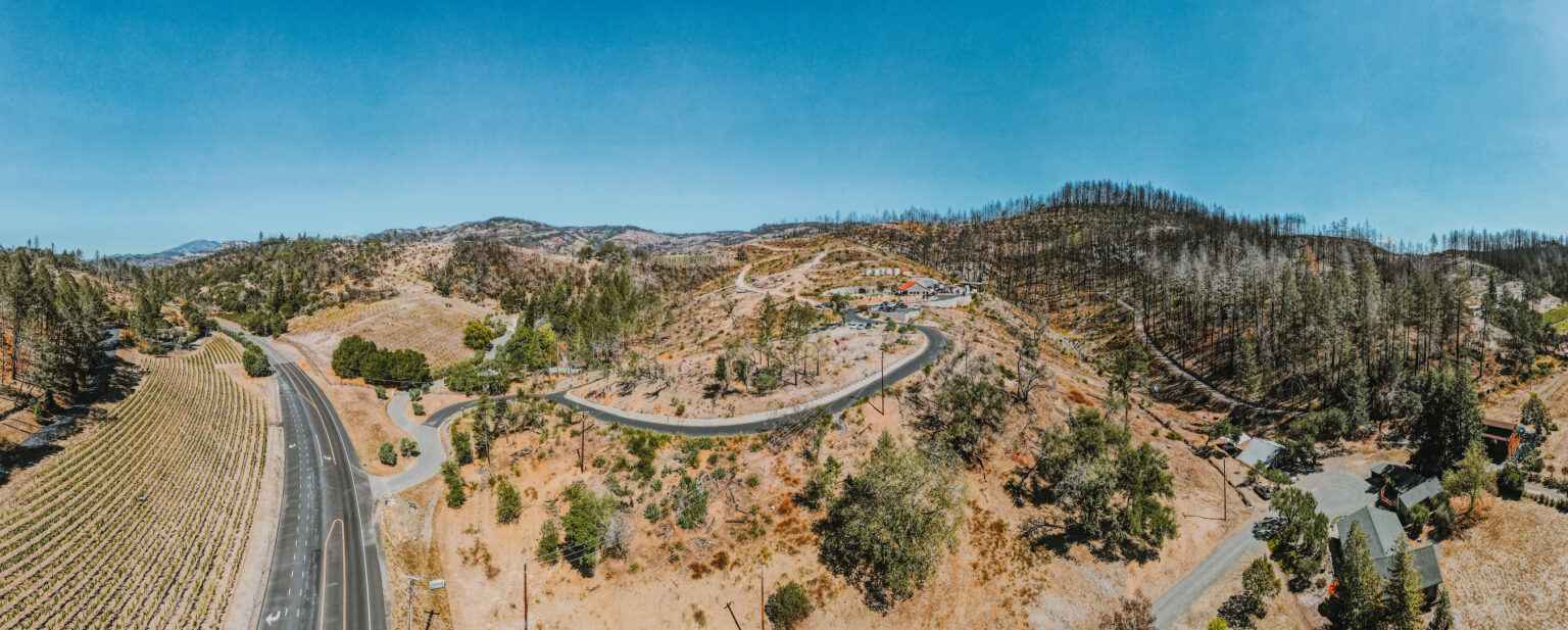 view of fire recovery—hilltop starting to grow back